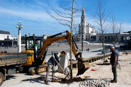 Fátima - Santuário inicia plantação de novas árvores no recinto