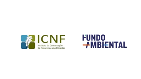 Ourém - Câmara aprova contratos-Programa com Fundo Ambiental e ICNF